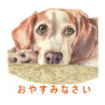 LINEスタンプ