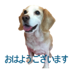 LINEスタンプ