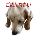 LINEスタンプ