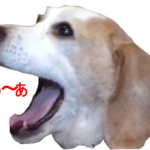 ビーグル犬の動くスタンプ４