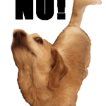 ビーグル犬の動くスタンプ６