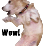 ビーグル犬の動くスタンプ８