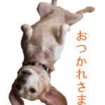 LINEスタンプ
