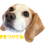 LINEスタンプ