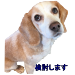 LINEスタンプ