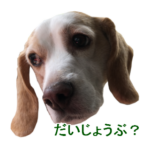 LINEスタンプ
