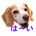 LINEスタンプ