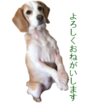 LINEスタンプ
