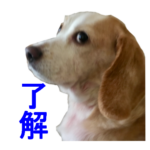 LINEスタンプ