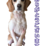 LINEスタンプ