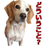 LINEスタンプ