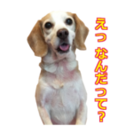 LINEスタンプ