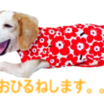 LINEスタンプ