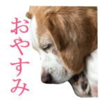 LINEスタンプ