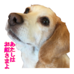 LINEスタンプ